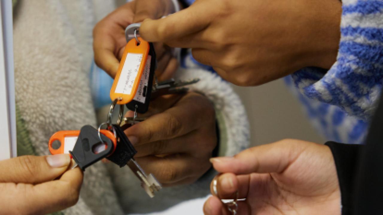 ajuts borsa de lloguer